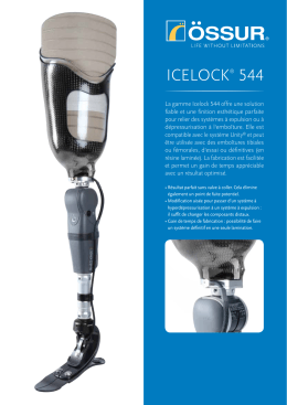 icelock&reg; 544 - assets