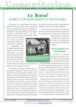 20 - Le boeuf - Reseau