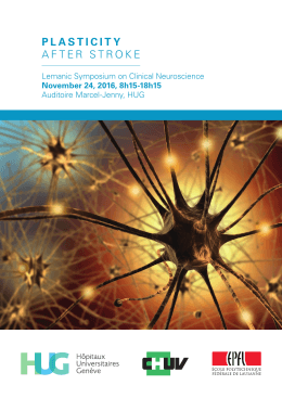 plasticity after stroke