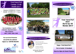 stage-treizhand-perf-comite-13-hb-fevrier-2017