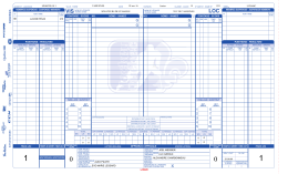 game sheet - Ligue Section Vall&eacute;e du Richelieu