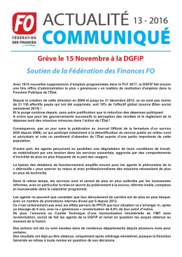 Gr&egrave;ve le 15 Novembre &agrave; la DGFiP Soutien de la F&eacute;d&eacute;ration des