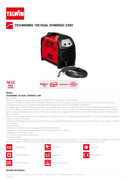 TECHNOMIG 150 DUAL SYNERGIC 230V