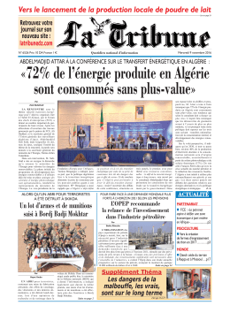 72% de l`énergie produite en Algérie sont consommés