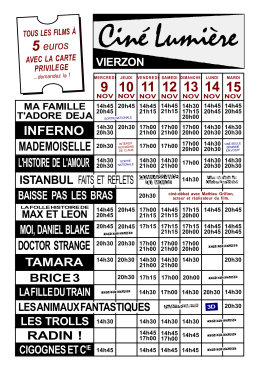 3 cinémas - Romorantin - Cinéma CINE LUMIERE VIERZON