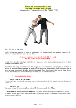 Stage de préparation et examen de la ceinture Jaune de Krav