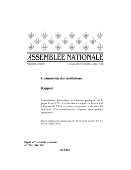 Commission des institutions Rapport