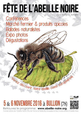 canif-programme-fete-abeille-noire-2016