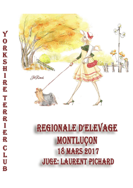 Photo pleine page - club yorkshire terrier