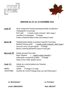 Cit&eacute; Scolaire L&eacute;onard Limosin