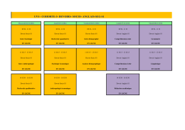 UVS - COHORTE-3- DEVOIRS- SOCIO- ANGLAIS-SEG-S1
