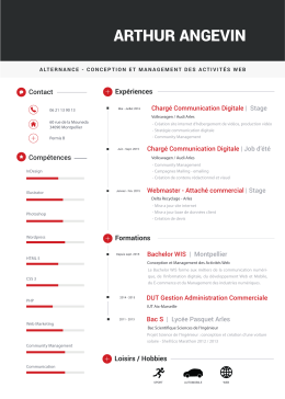Télécharger mon CV