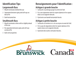 Identification Tips: Renseignements pour l`identification :