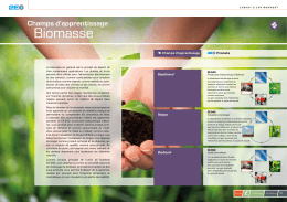 Champs d`apprentissage biomasse