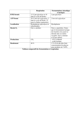 2 par glycolyse et 10 dans le cycle de Krebs