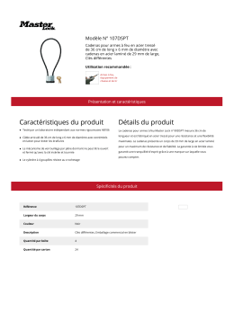 Modèle N° 107DSPT | Master Lock