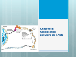 Acides Nucléiques