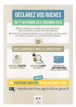 d&eacute;claration des r&ucirc;ches