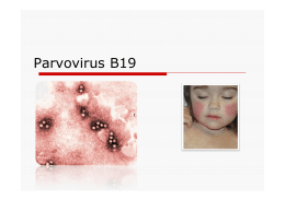 Parvovirus B19-4ann&eacute;e [Mode de compatibilit&eacute;]