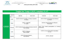 Emploi du Temps G3EI3, semaines S1