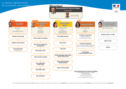 L`organigramme de la direction d&eacute;partementale de la Protection des