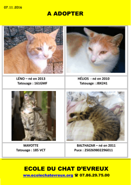 A ADOPTER ECOLE DU CHAT D`EVREUX