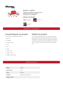 Mod&egrave;le N&deg; 1458ES31 | Master Lock