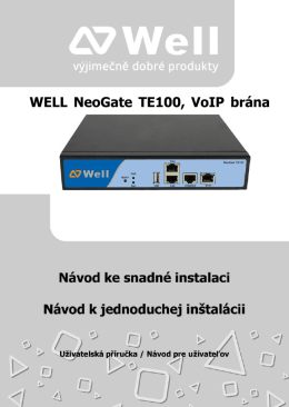 WELL NeoGate TE100, VoIP brána ústředna