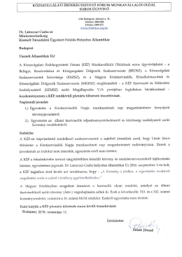 Dr. Latorcai Csaba, Kiemelt T&aacute;rsadalmi &Uuml;gyek&eacute;rt Felelős Helyettes