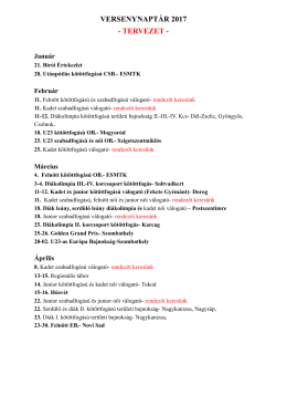 2017. napt&aacute;r tervezet