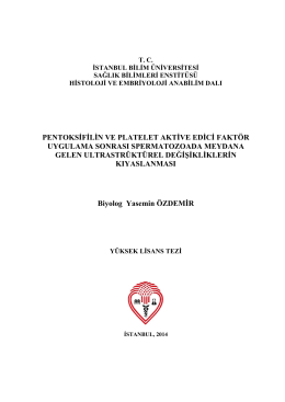 View/Open - T.C. İstanbul Bilim Üniversitesi Kurumsal Arşiv Sistemi