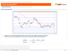 Teknik Strateji B&uuml;lteni