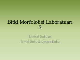 Bitki morfolojisi lab.3