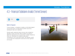 Finansal Tabloların Analizi (Temel Seviye)