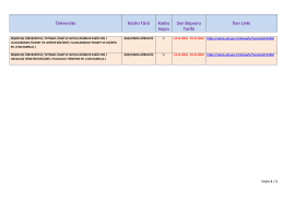 Nişantaşı Üniversitesi Araştırma Görevlisi Alım İlanı