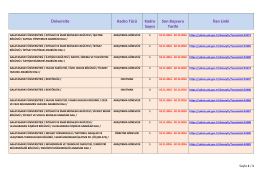 Galatasaray &Uuml;niversitesi &Ouml;ğretim G&ouml;revlisi, Araştırma G&ouml;revlisi