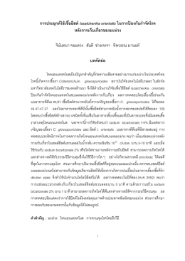 C. gloeosporioides - มหาวิทยาลัยเทคโนโลยีราชมงคลล้านนา