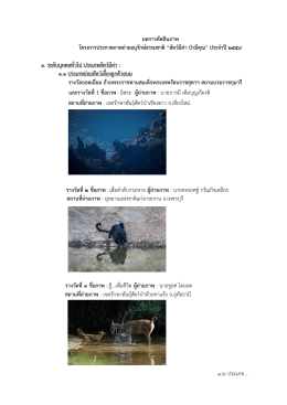 สถานที่ถ่ายภาพ - กรมอุทยานแห่งชาติ สัตว์ป่า และพันธุ์พืช