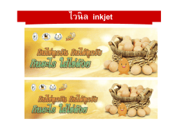 แผนรณรงค์บริโภคไข่ไก่2559_คก.รณรงค์บริโภคไข่ไก
