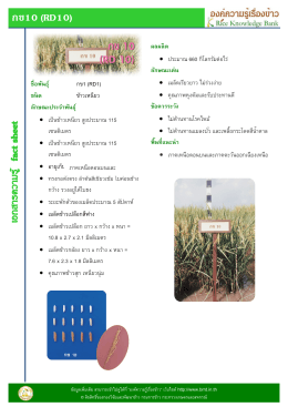 กข10 (RD10) ชื่อพันธุ์