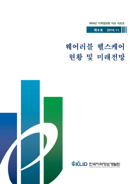 년 지역정보화 이슈 리포트 2016