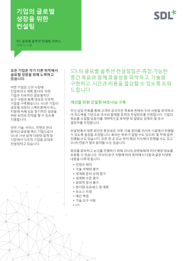 기업의 글로벌 성장을 위한 컨설팅
