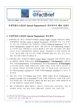 유엔특별보고관(UN Special Rapporteur)의 한국