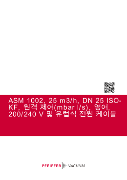 ASM 1002, 25 m3/h, DN 25 ISO- KF, 원격 제어
