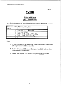 Volební lístek