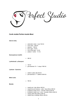 Ceník služeb Perfect studia Most