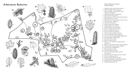 MZP Arboretum planek_2