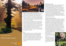 Download: pdf-document, ca. 2,6 MB