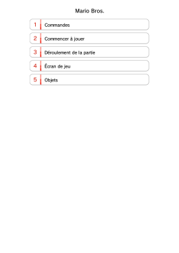 Mode d`emploi &eacute;lectronique