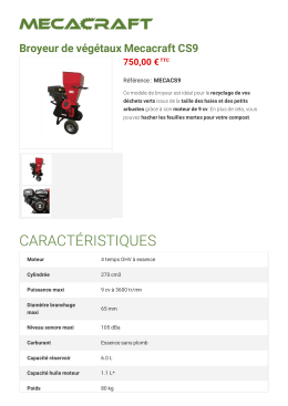 Version PDF